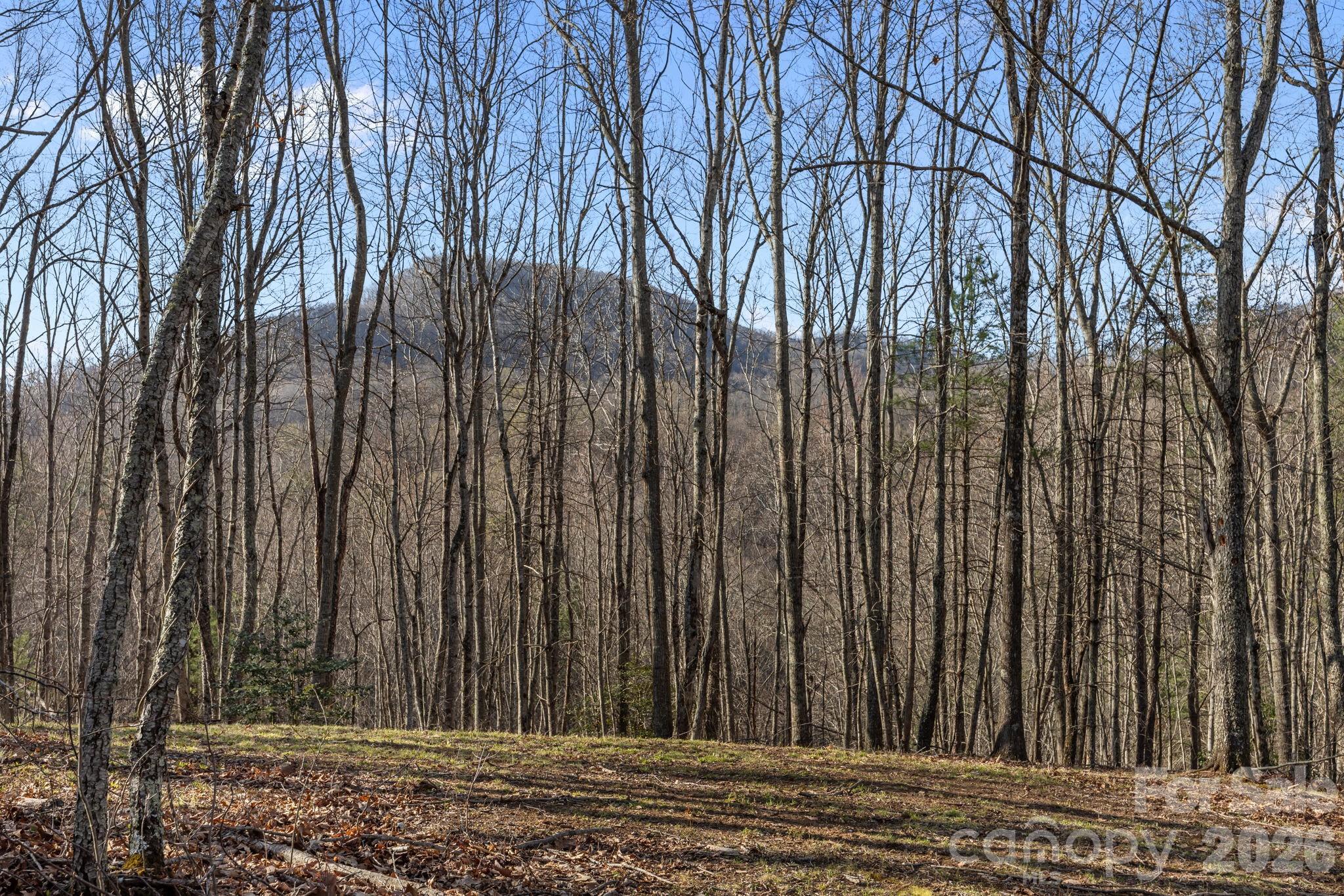 9999 Hidden Cove Road Leicester NC 28748