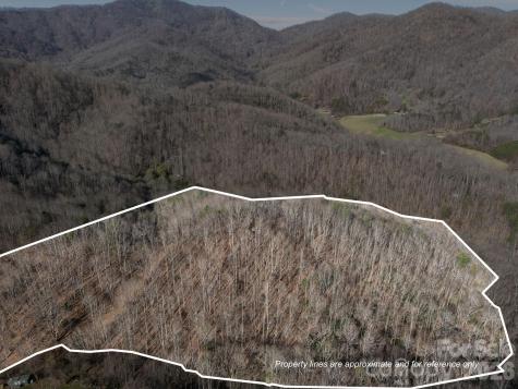 9999 Hidden Cove Road Leicester NC 28748
