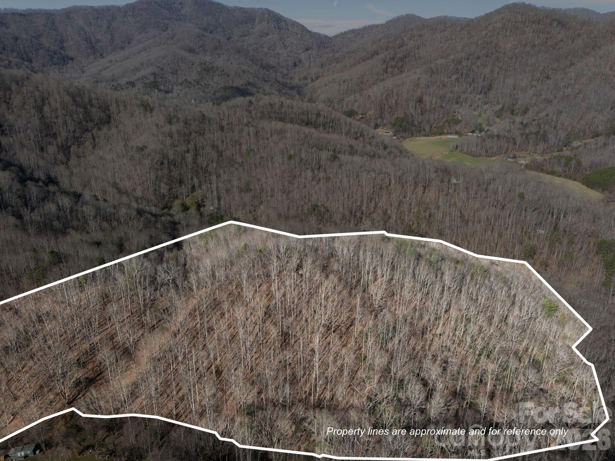 9999 Hidden Cove Road Leicester NC 28748