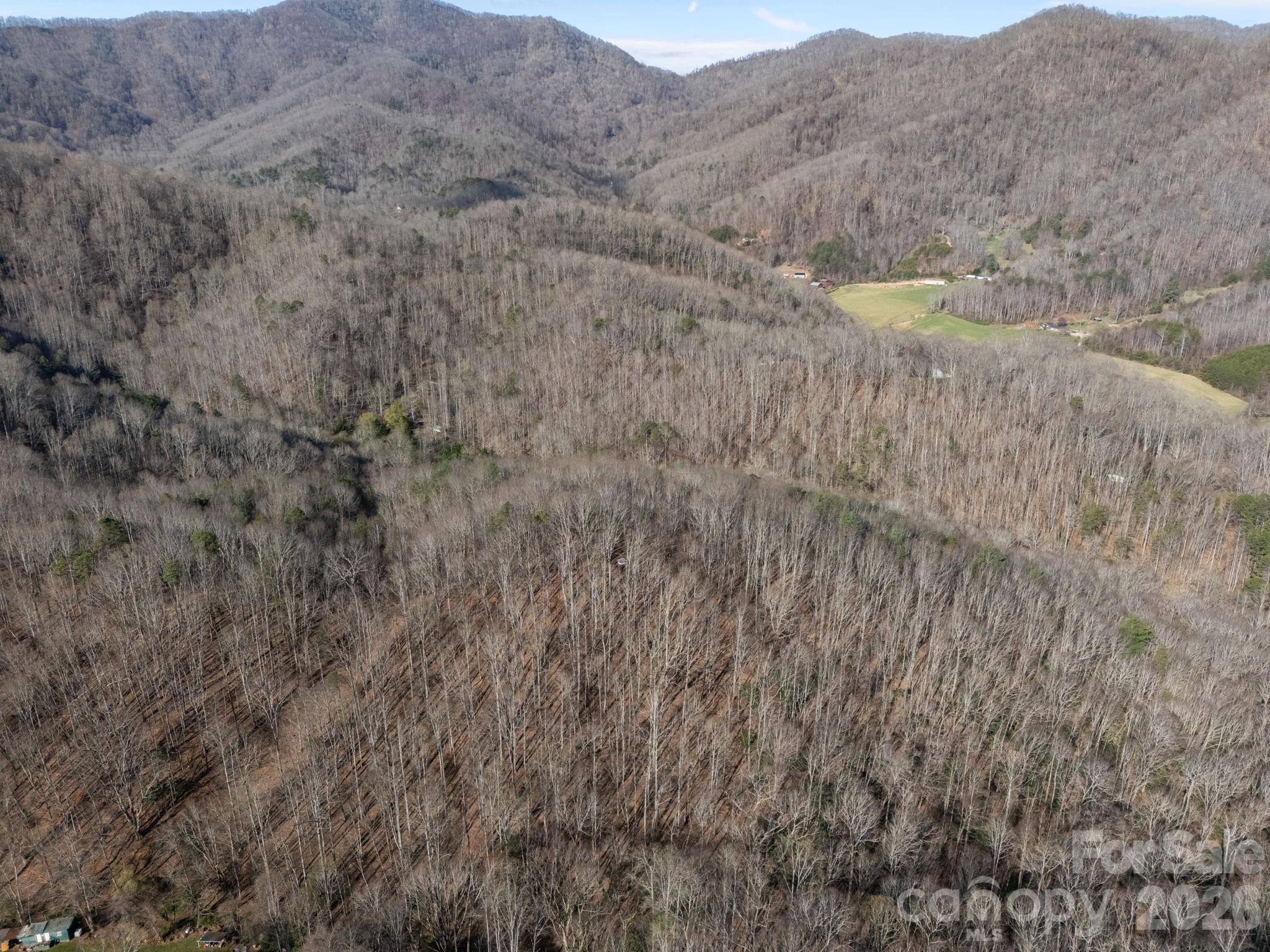 9999 Hidden Cove Road Leicester NC 28748