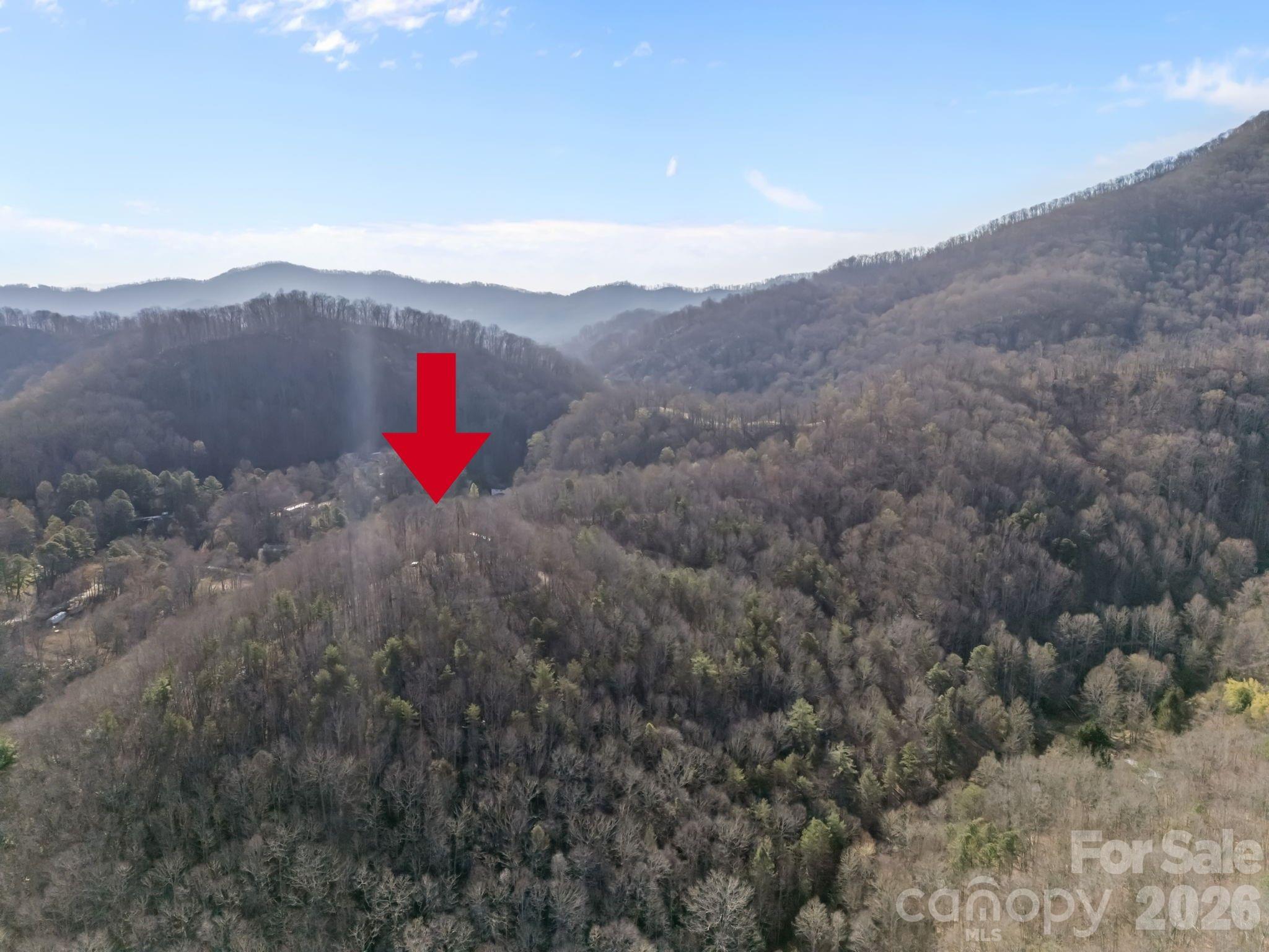 9999 Hidden Cove Road Leicester NC 28748