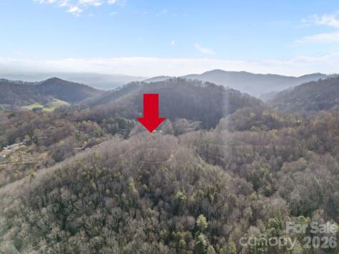 9999 Hidden Cove Road Leicester NC 28748