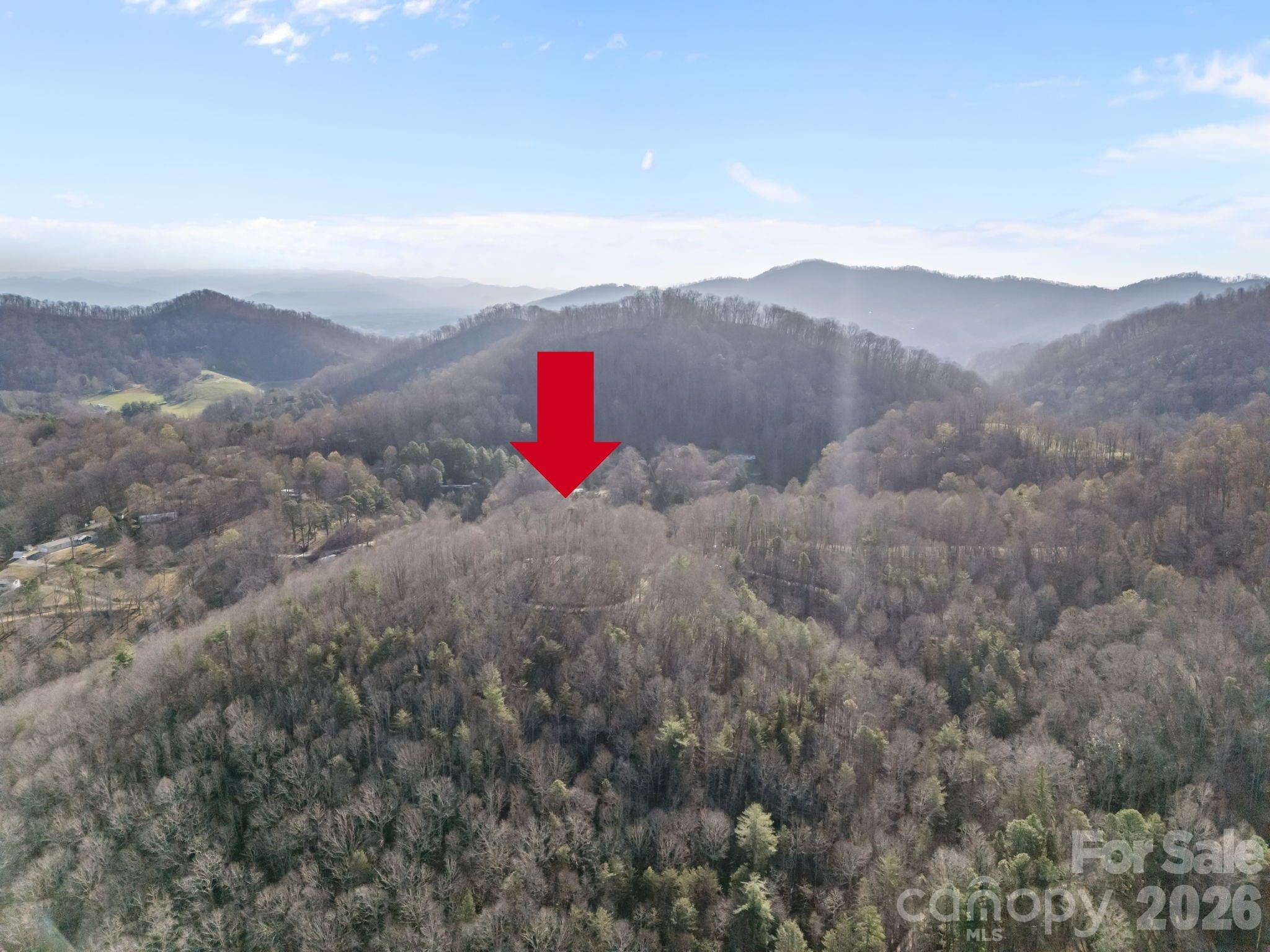 9999 Hidden Cove Road Leicester NC 28748