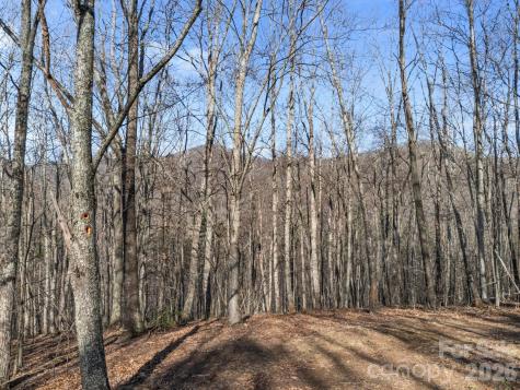 9999 Hidden Cove Road Leicester NC 28748