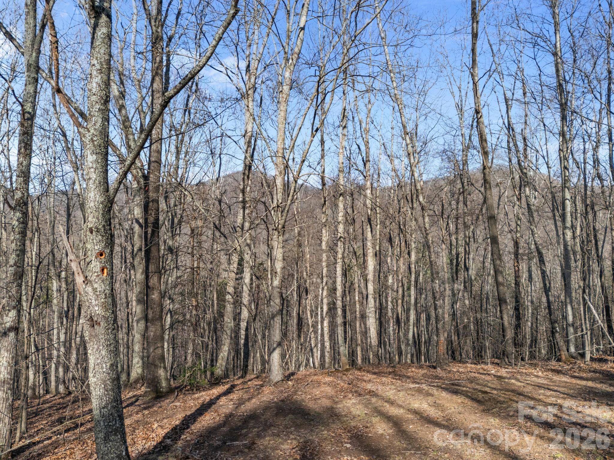 9999 Hidden Cove Road Leicester NC 28748