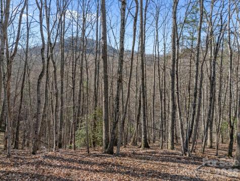 9999 Hidden Cove Road Leicester NC 28748