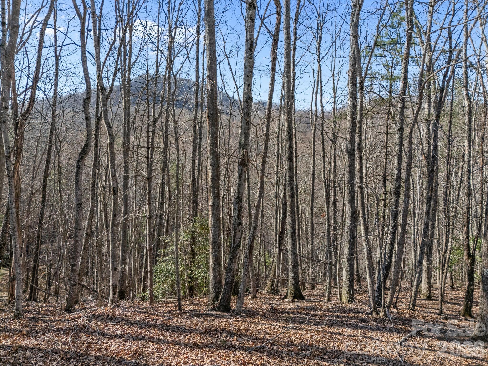 9999 Hidden Cove Road Leicester NC 28748