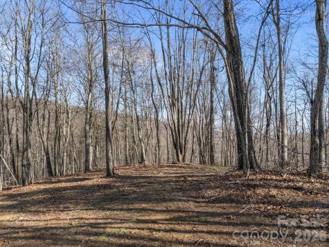 9999 Hidden Cove Road Leicester NC 28748