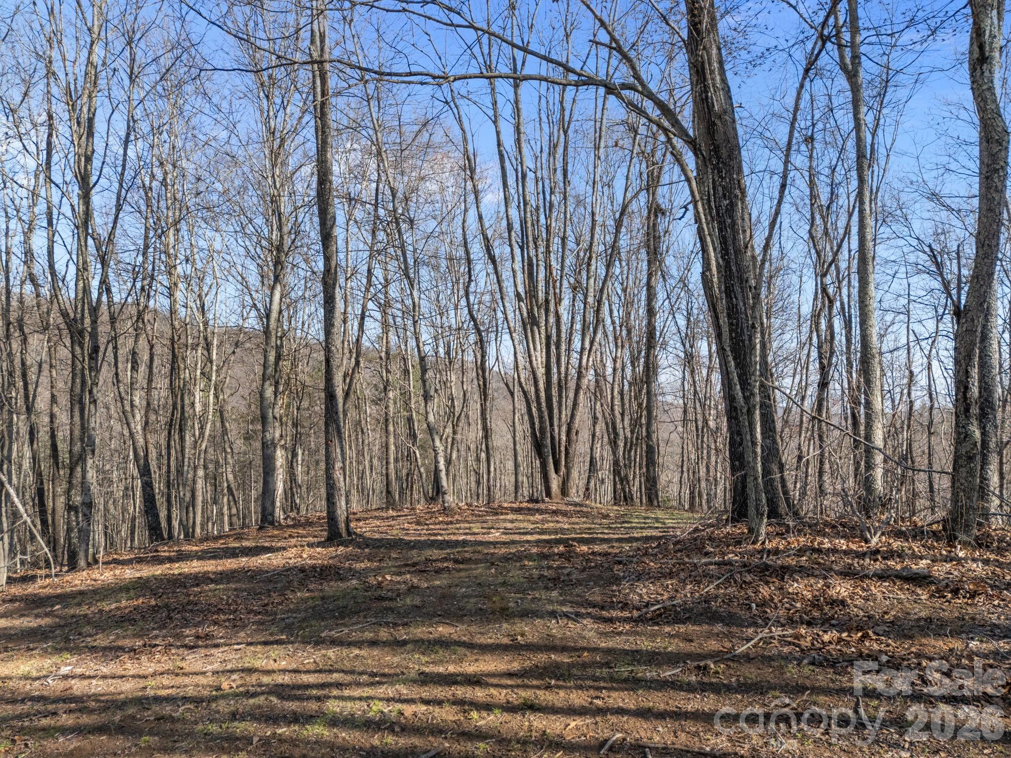 9999 Hidden Cove Road Leicester NC 28748
