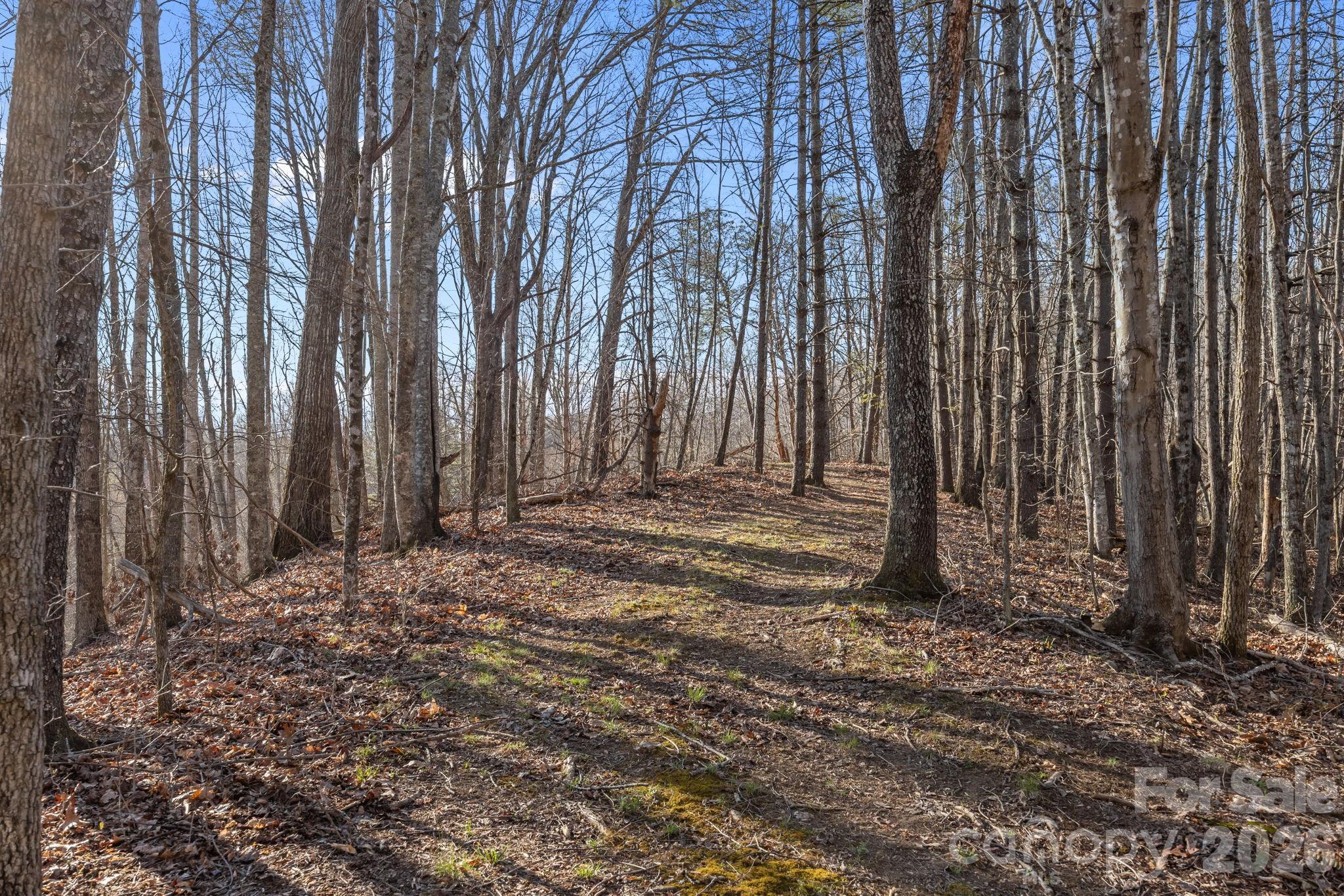 9999 Hidden Cove Road Leicester NC 28748