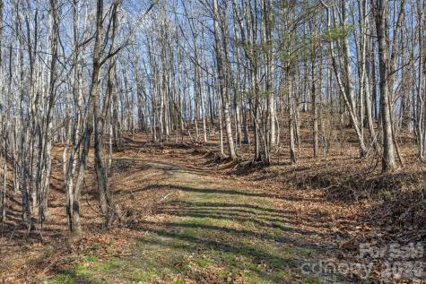 9999 Hidden Cove Road Leicester NC 28748
