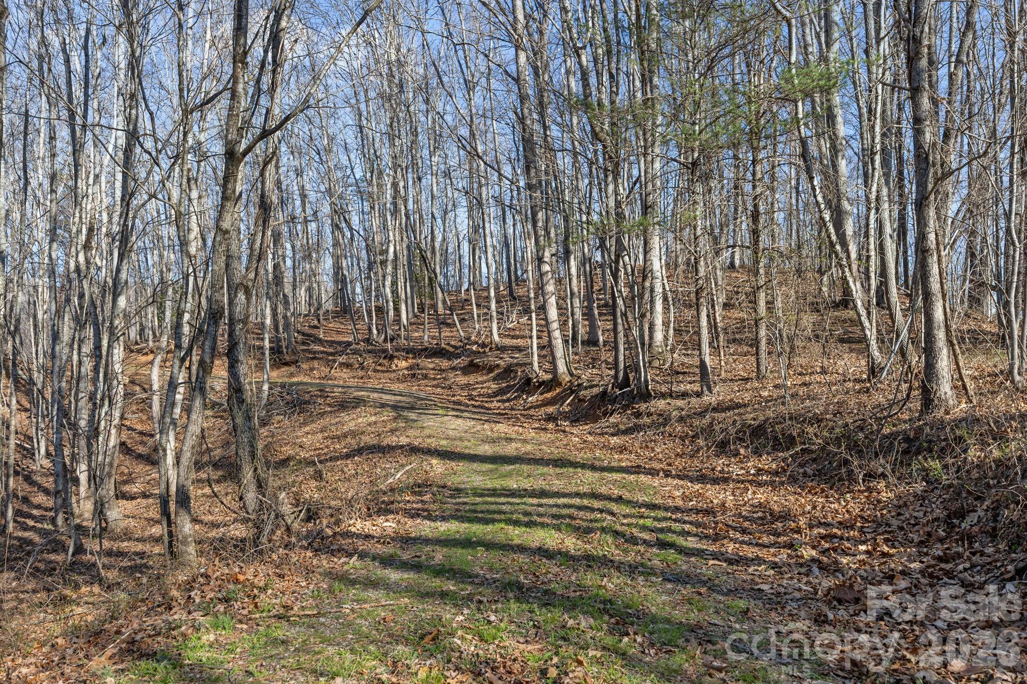 9999 Hidden Cove Road Leicester NC 28748