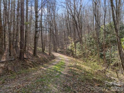 9999 Hidden Cove Road Leicester NC 28748