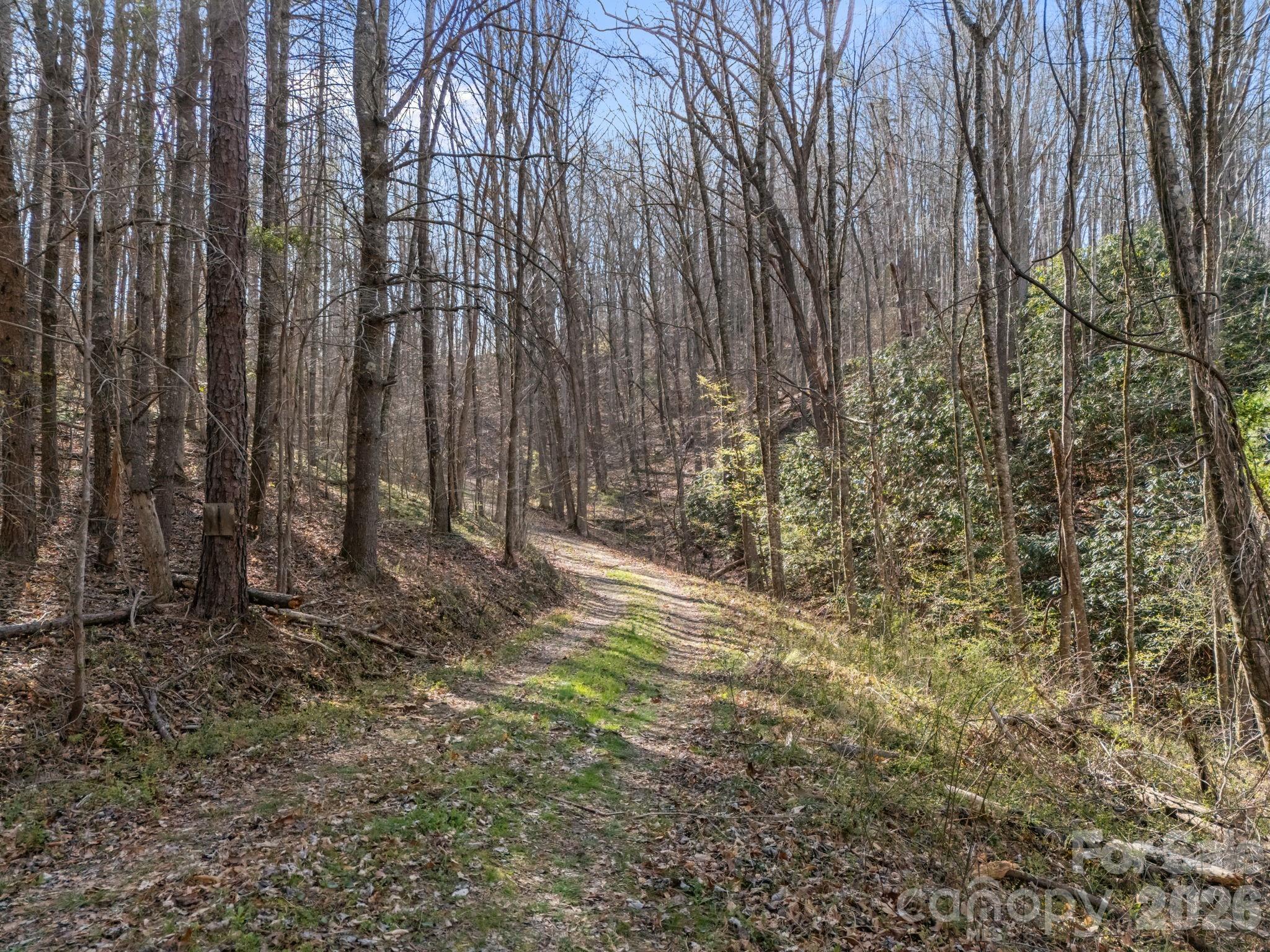9999 Hidden Cove Road Leicester NC 28748