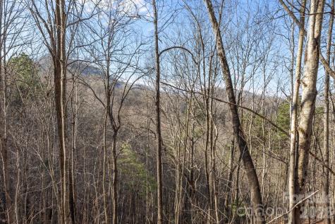 9999 Hidden Cove Road Leicester NC 28748