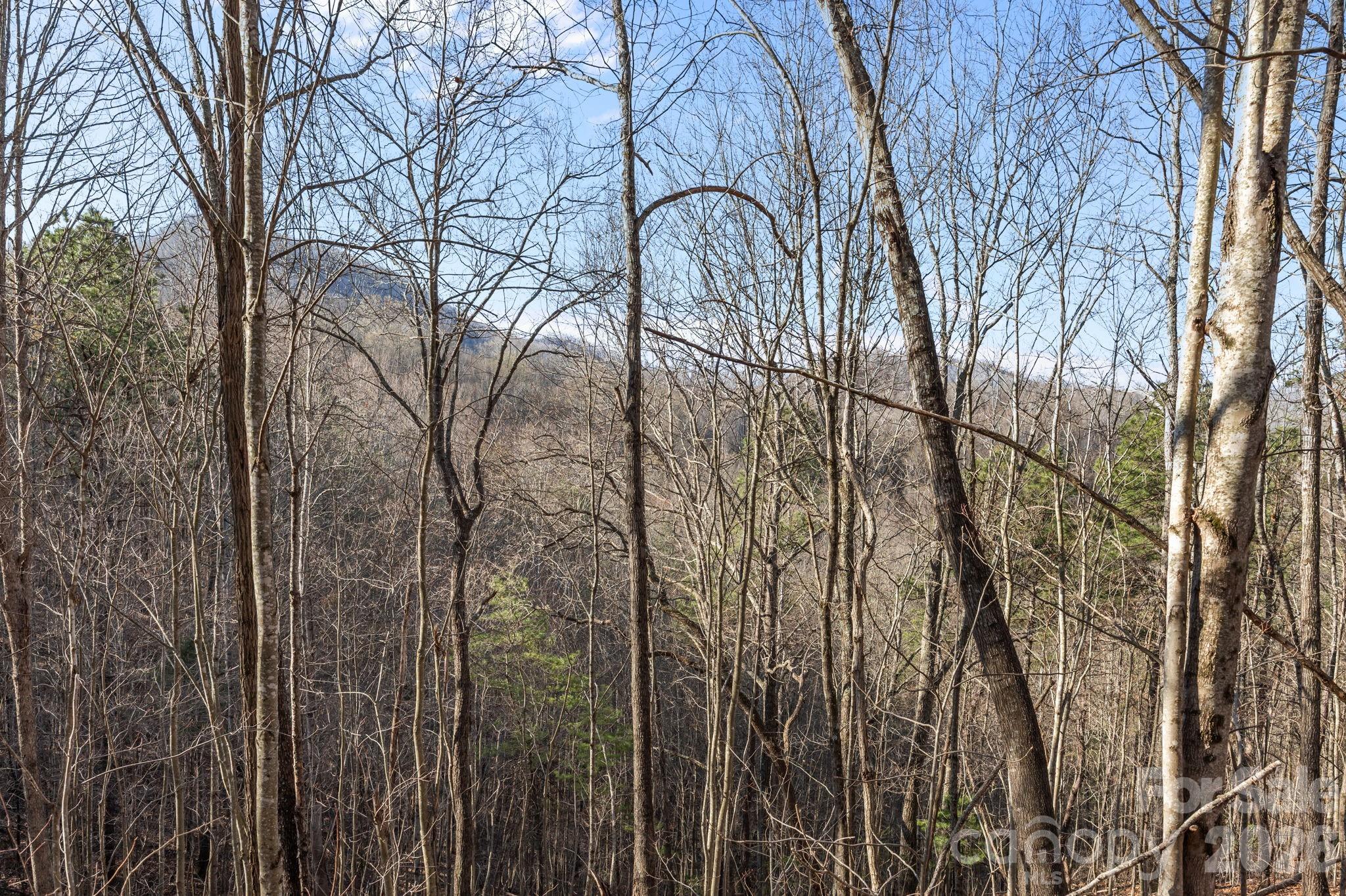 9999 Hidden Cove Road Leicester NC 28748