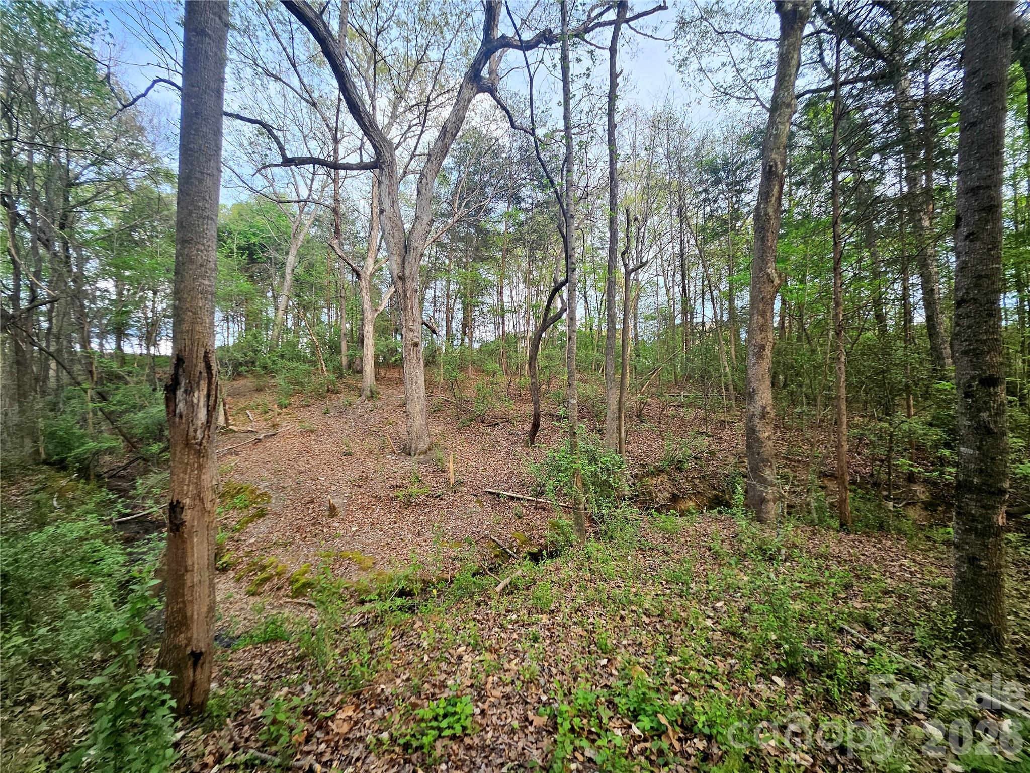 1110 Clark Hill Drive Belmont NC 28012