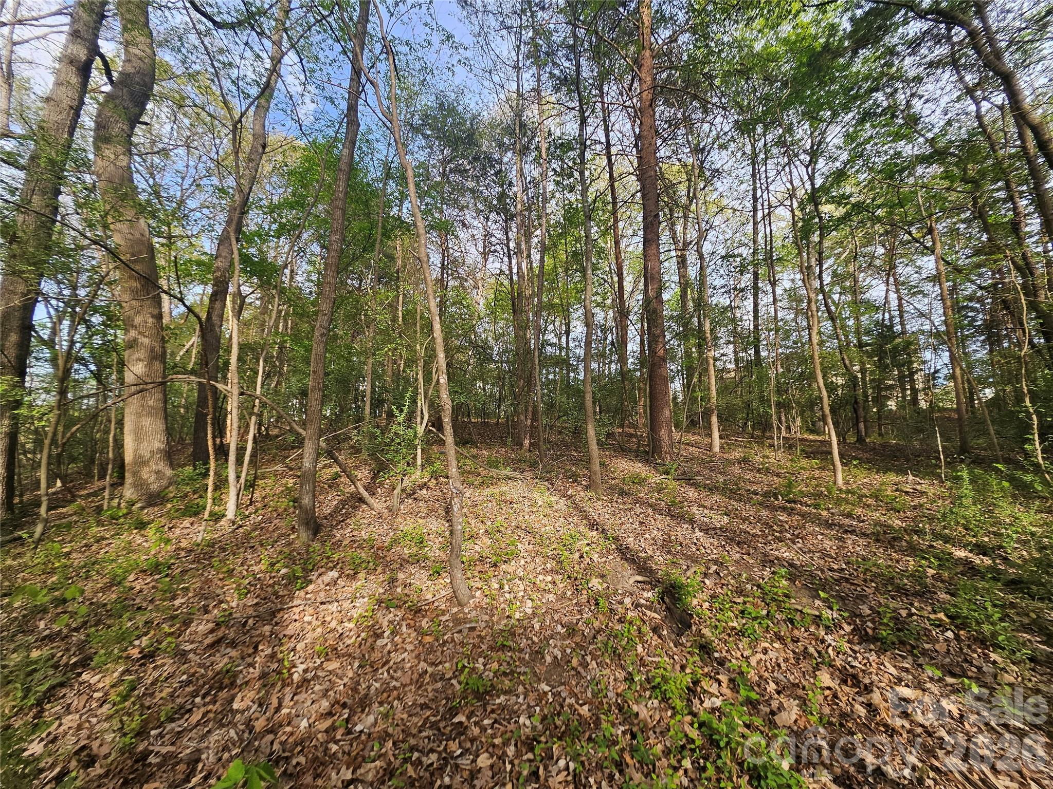 1110 Clark Hill Drive Belmont NC 28012