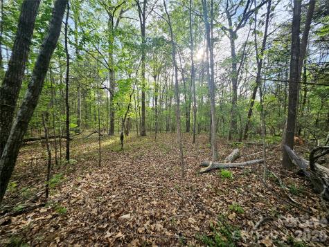 1110 Clark Hill Drive Belmont NC 28012