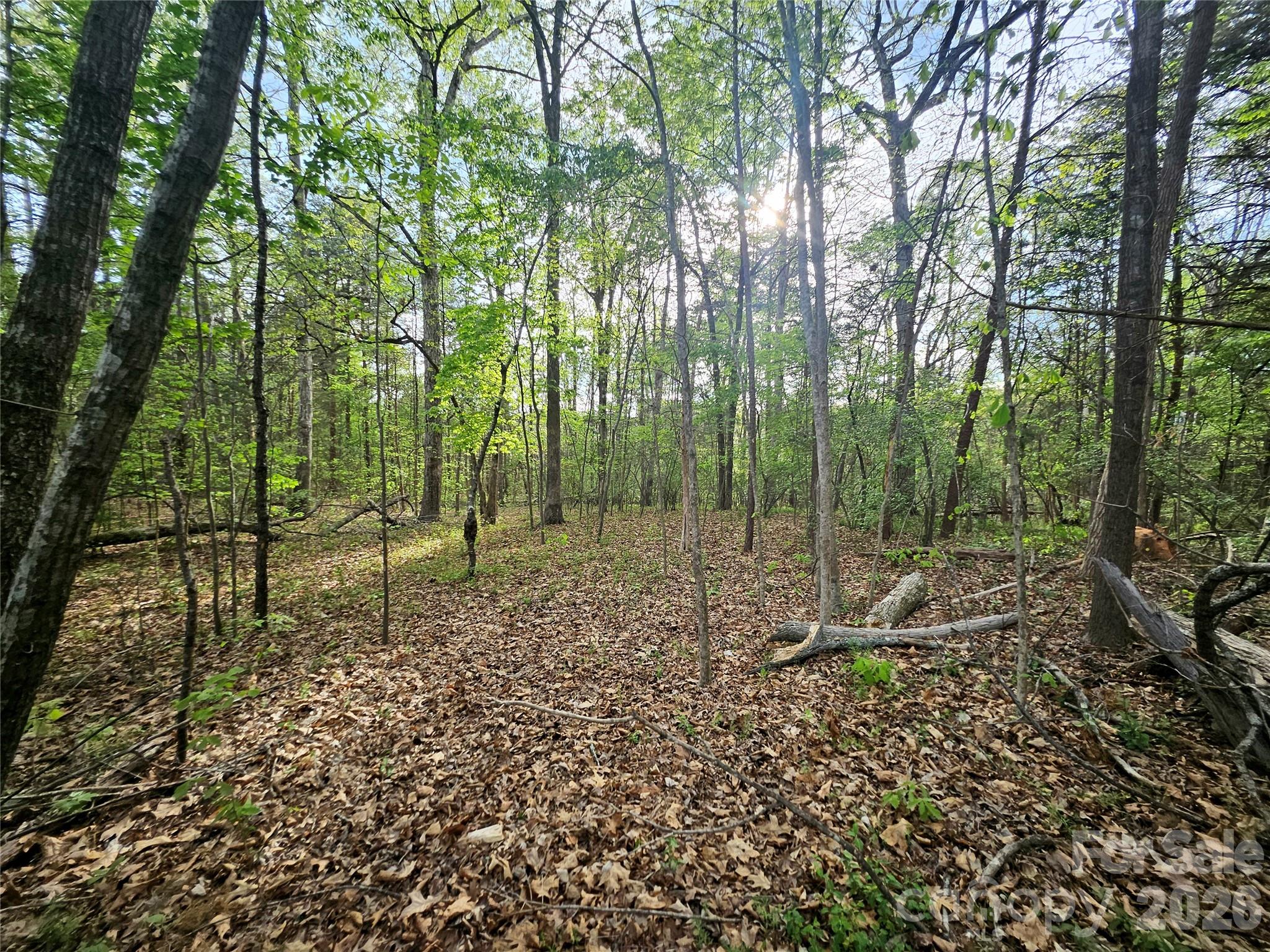 1110 Clark Hill Drive Belmont NC 28012