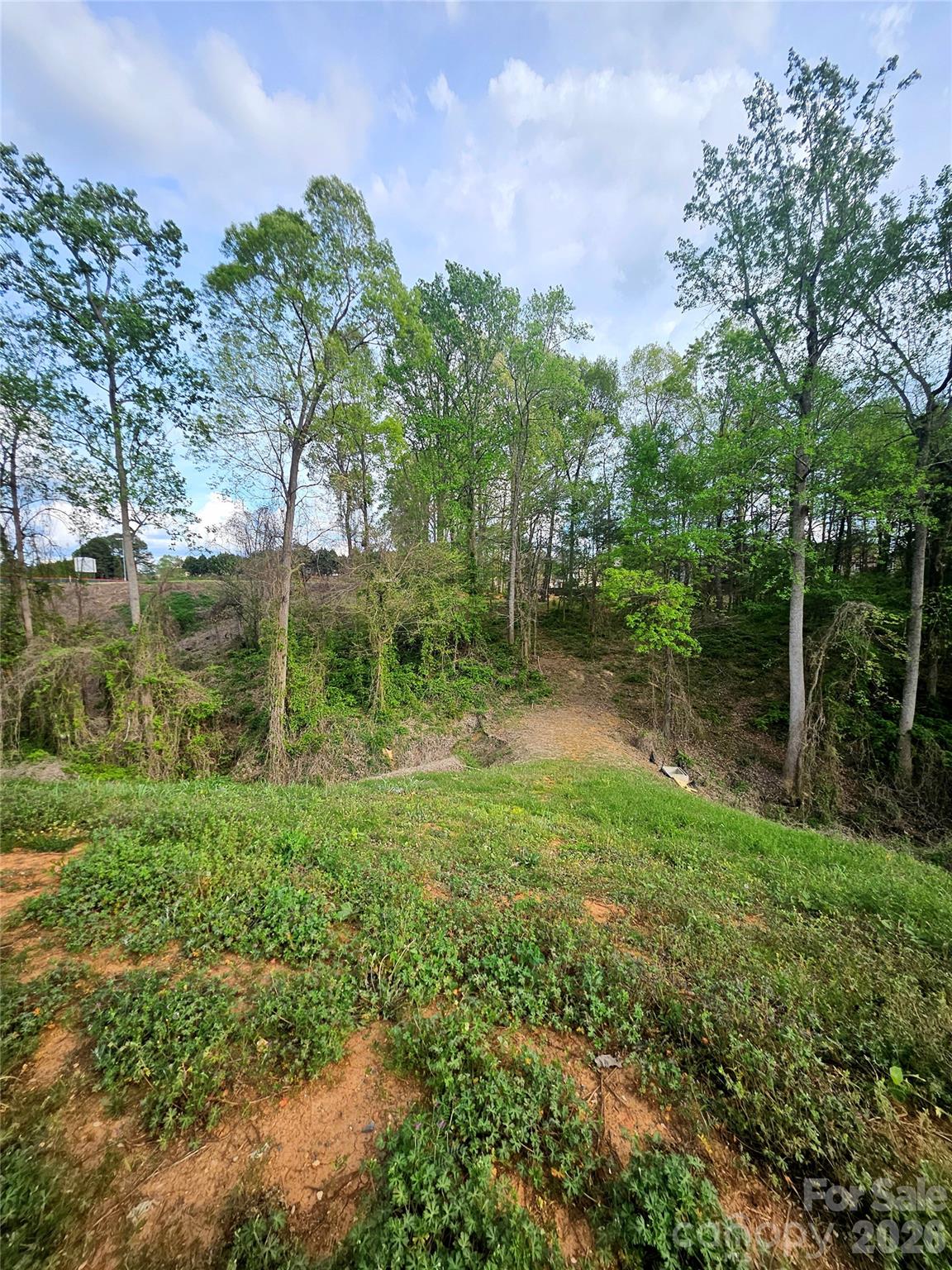 1110 Clark Hill Drive Belmont NC 28012