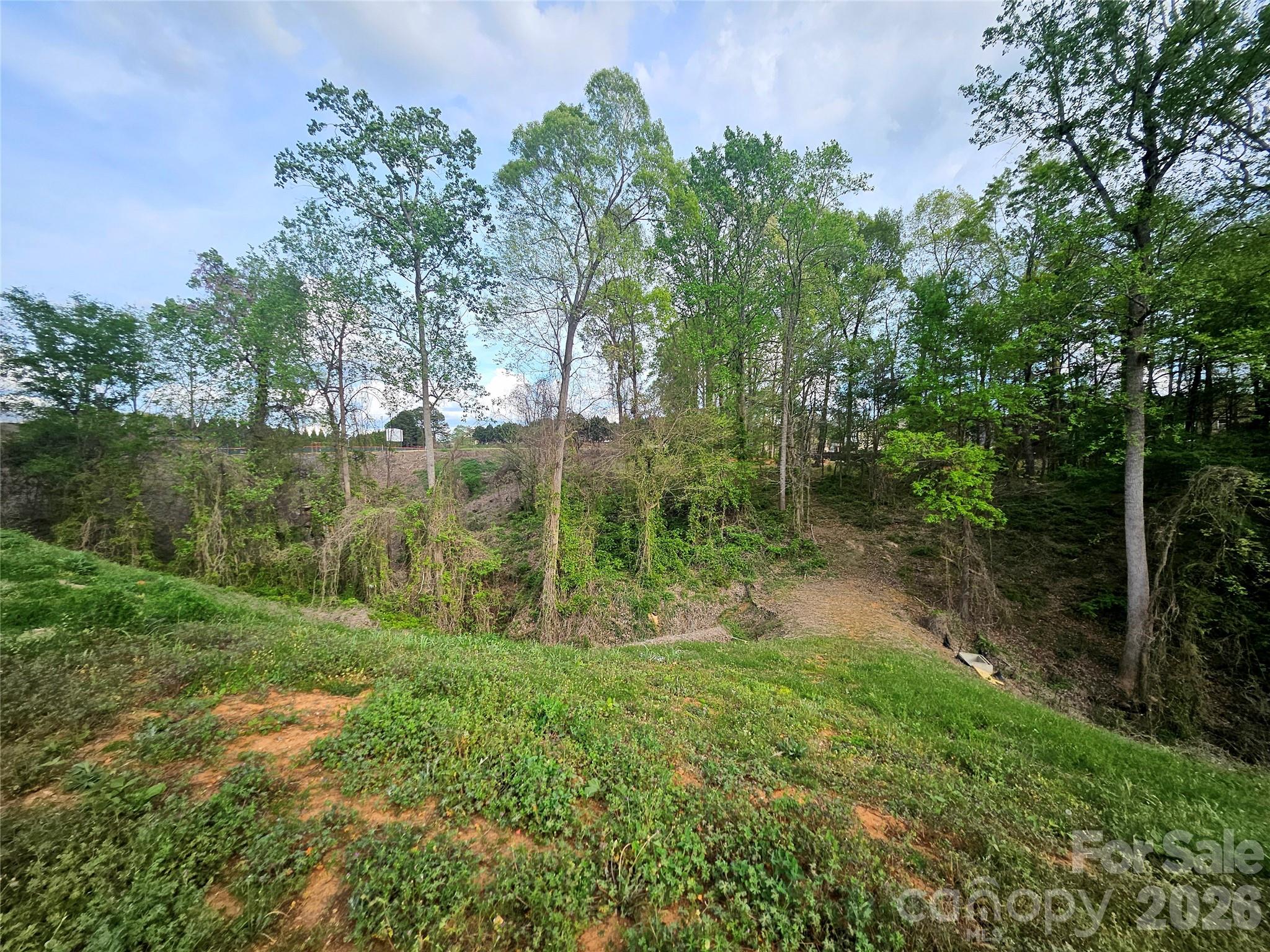 1110 Clark Hill Drive Belmont NC 28012