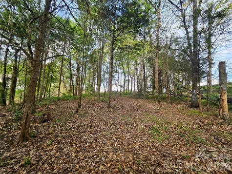 1110 Clark Hill Drive Belmont NC 28012