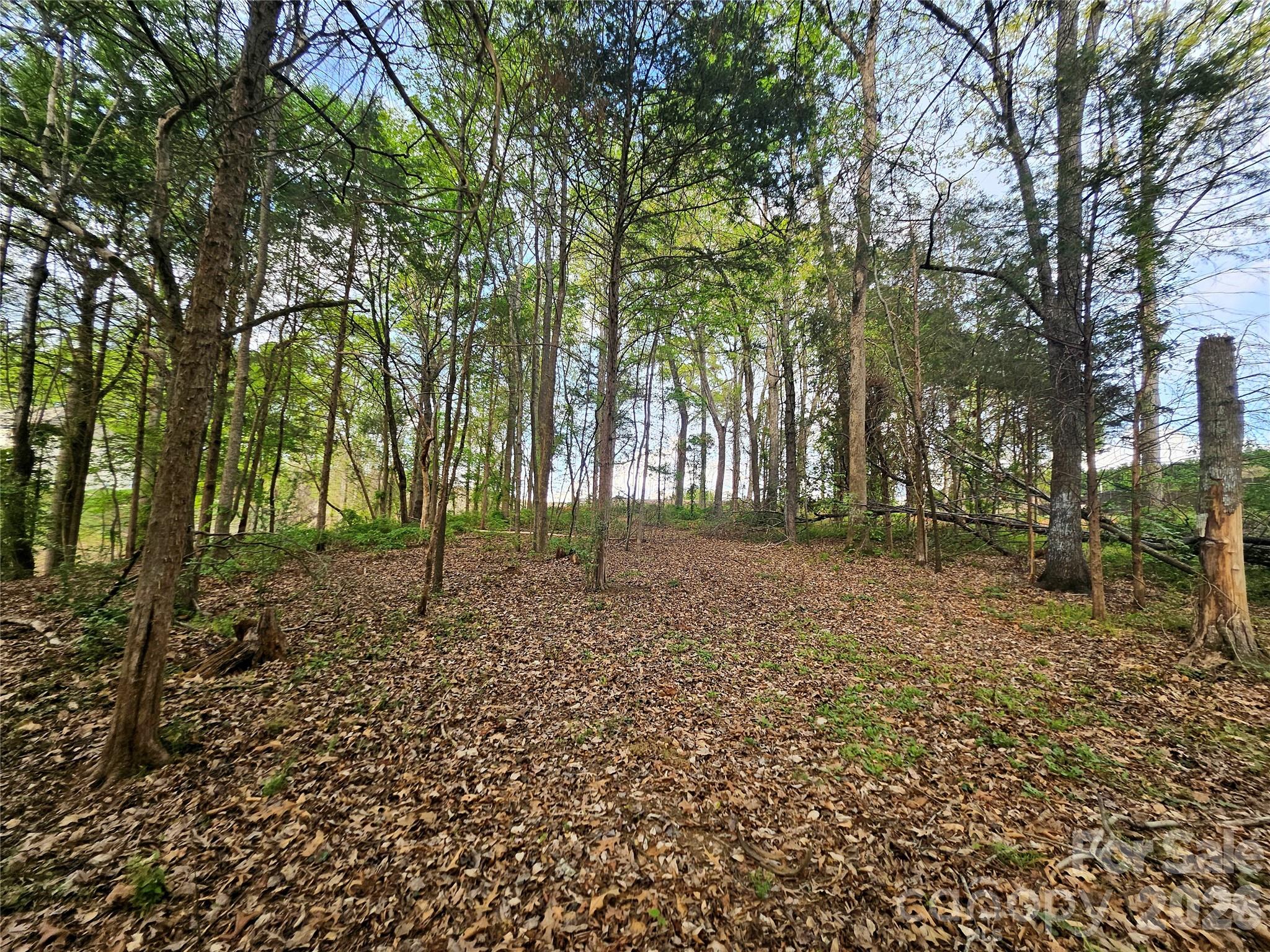1110 Clark Hill Drive Belmont NC 28012