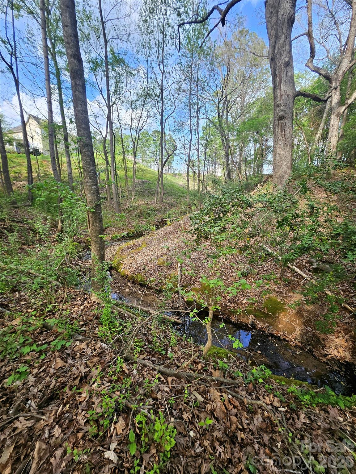 1110 Clark Hill Drive Belmont NC 28012