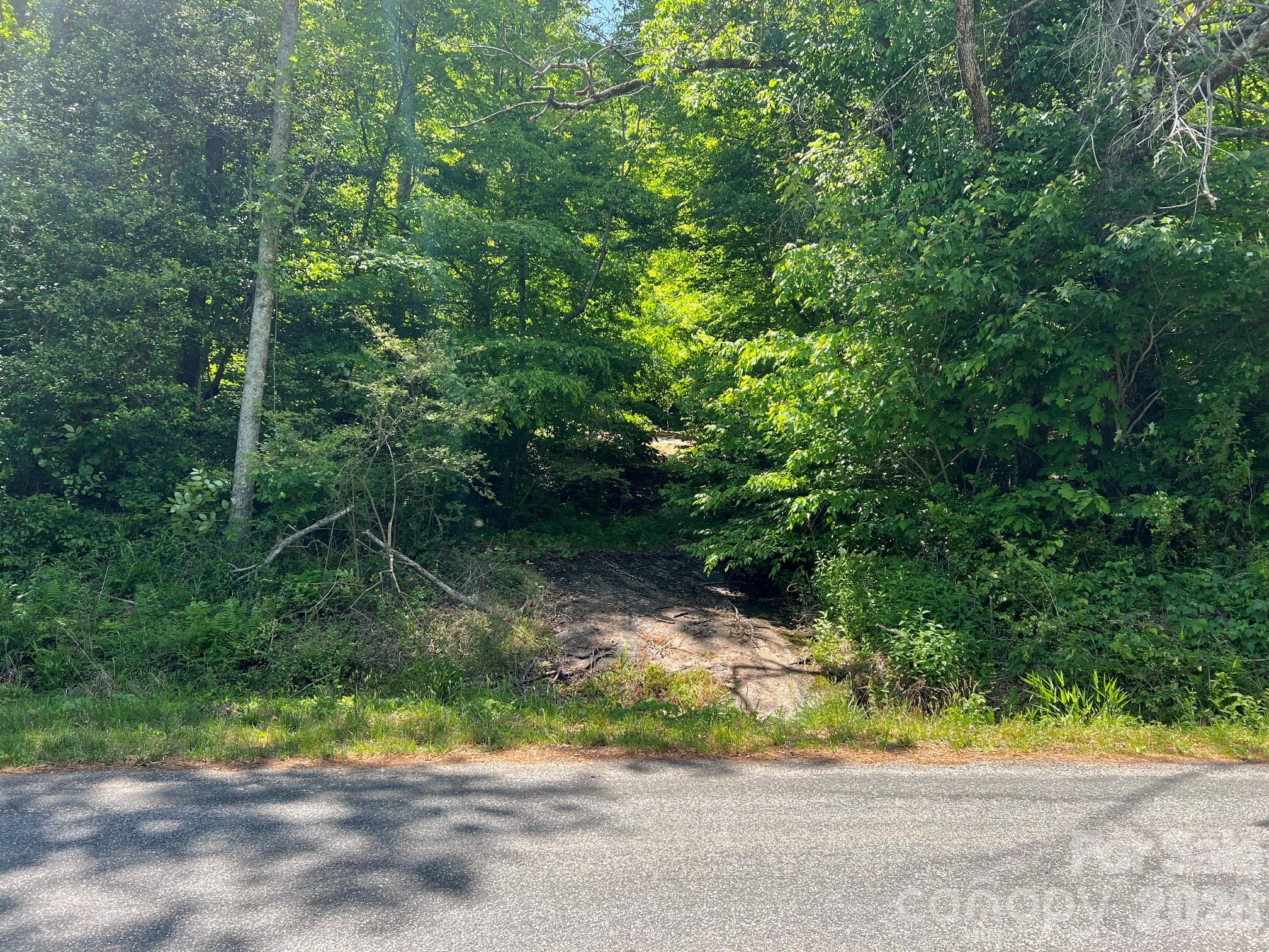 0 Russell Gap Road Taylorsville NC 28654
