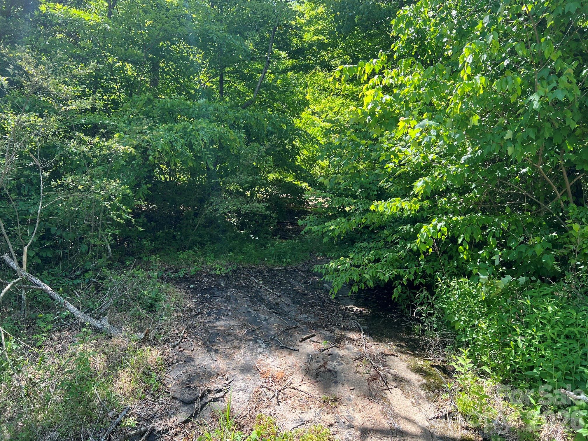0 Russell Gap Road Taylorsville NC 28654