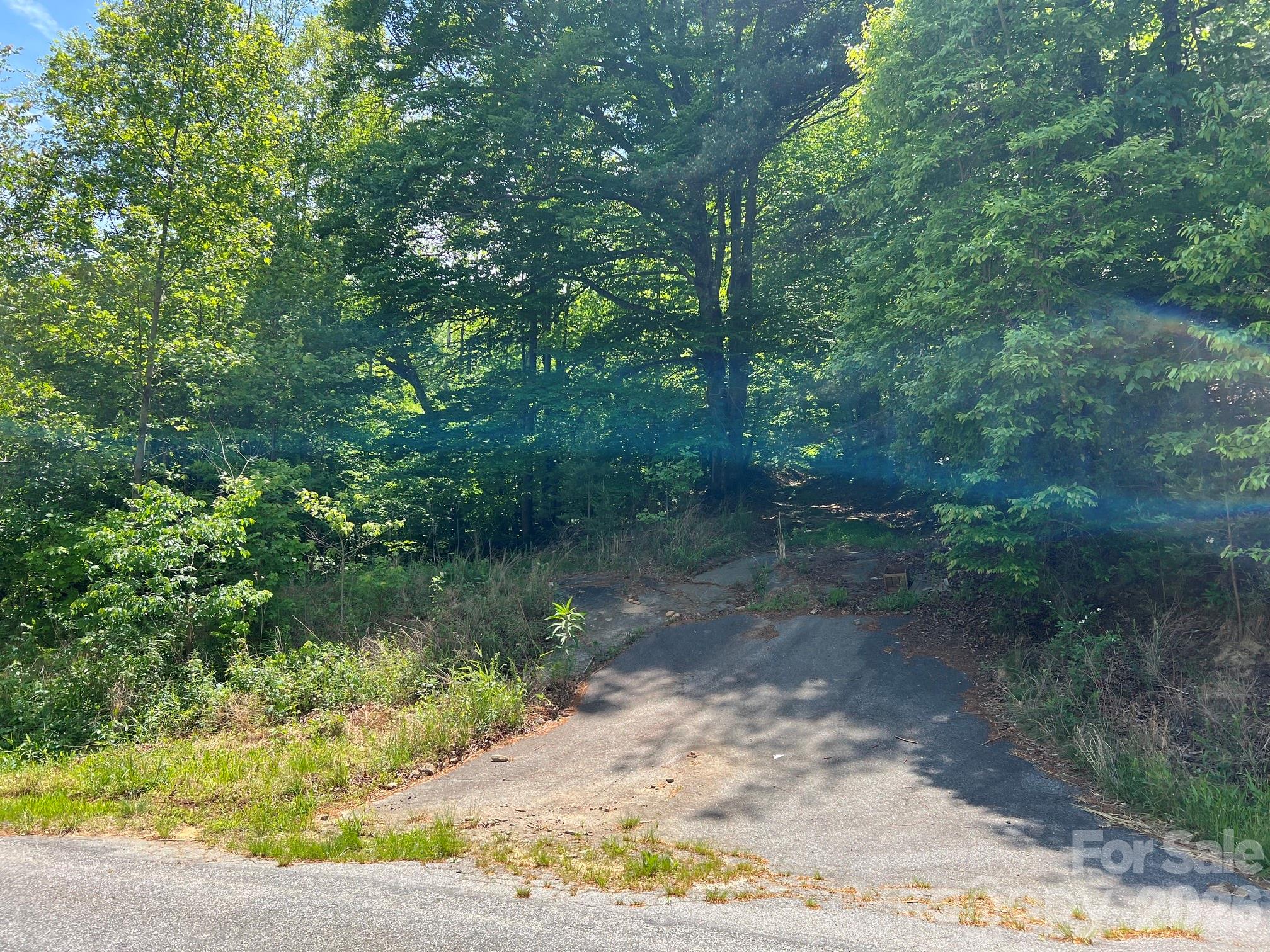 0 Russell Gap Road Taylorsville NC 28654