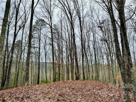 921 Wild River Run Marshall NC 28753