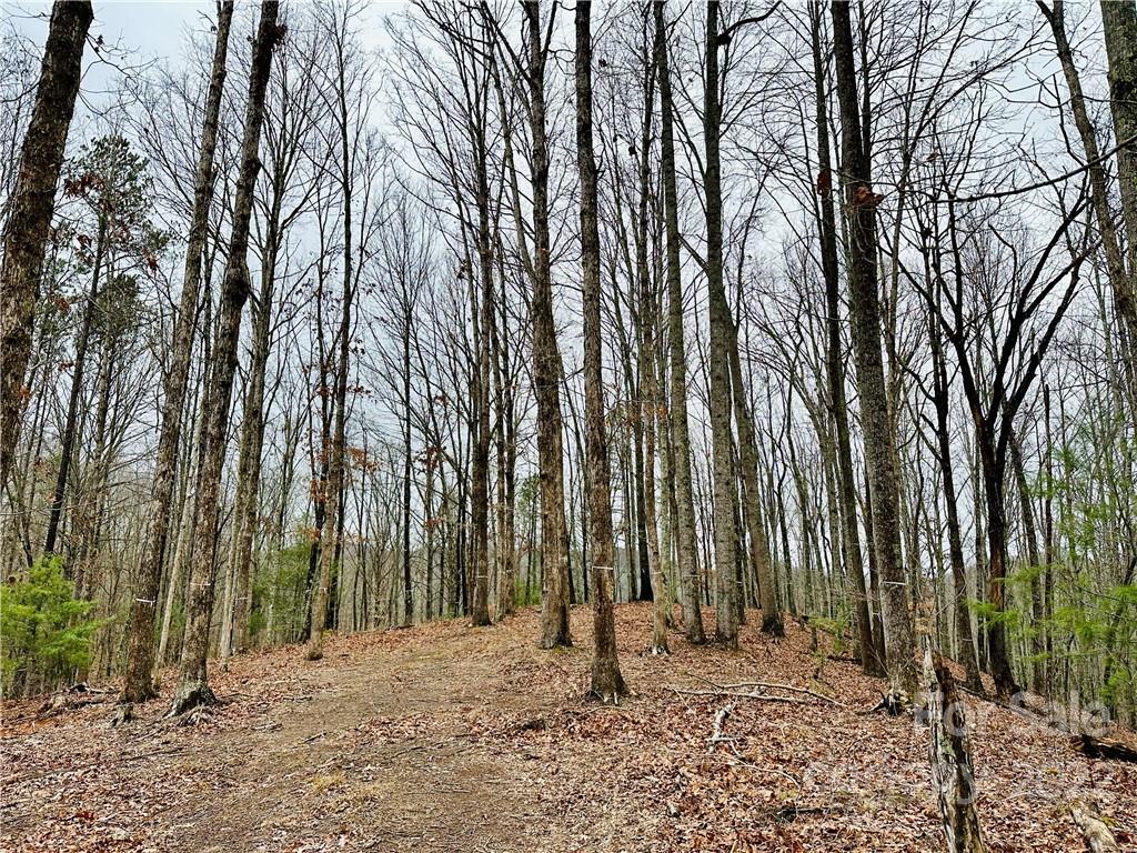 921 Wild River Run Marshall NC 28753