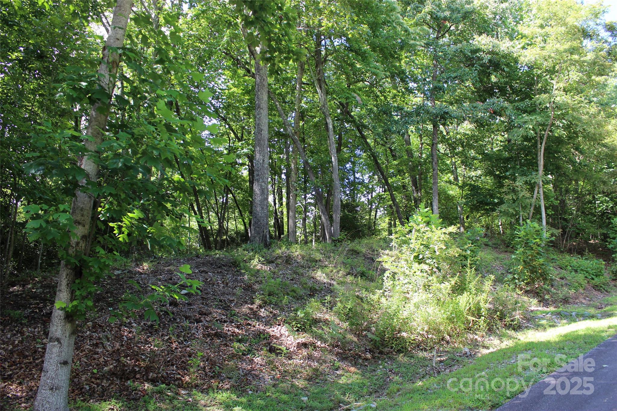 100 Ivywood Lane Laurel Park NC 28739