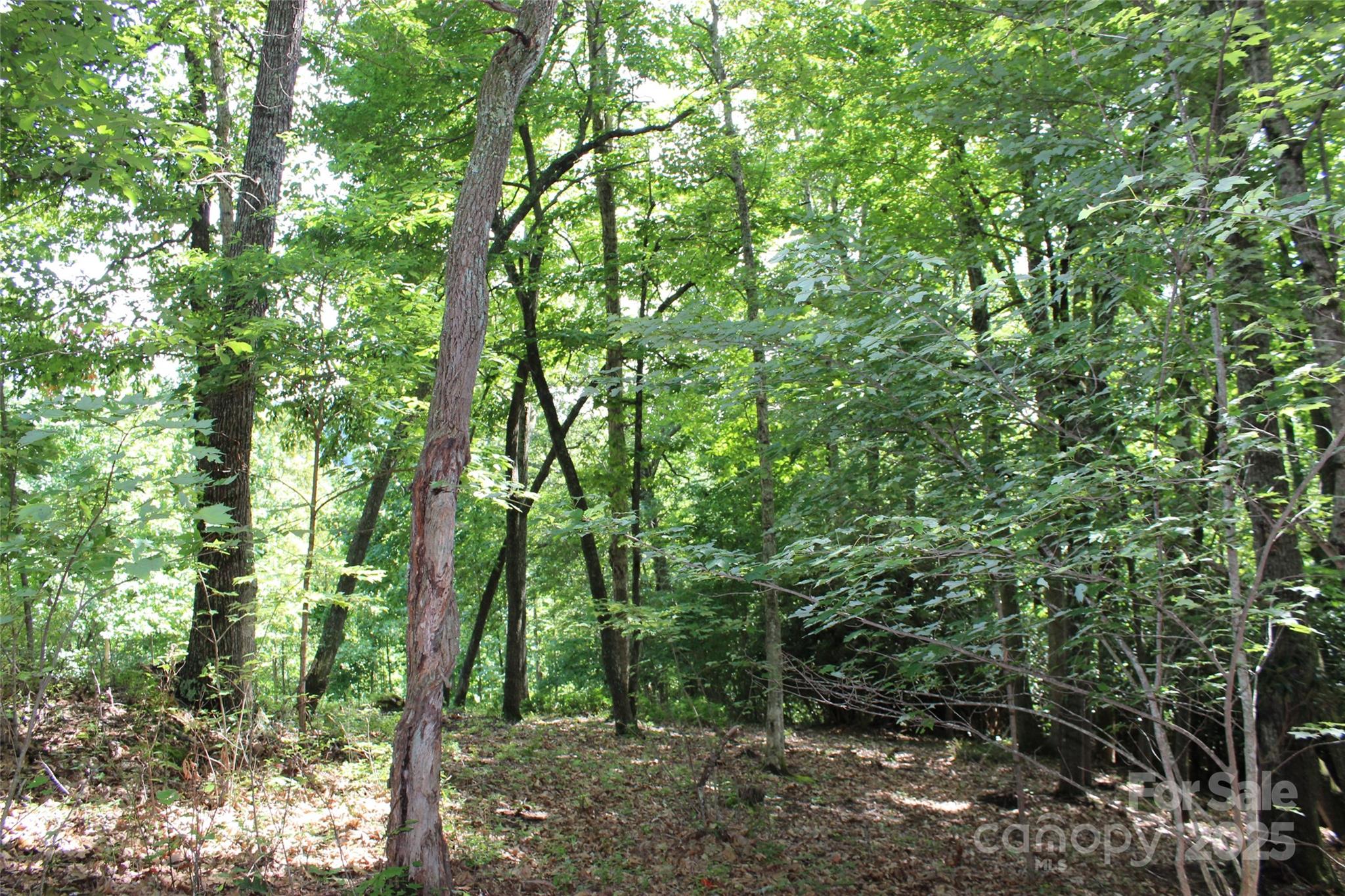 100 Ivywood Lane Laurel Park NC 28739
