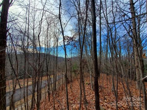 100 Ivywood Lane Laurel Park NC 28739