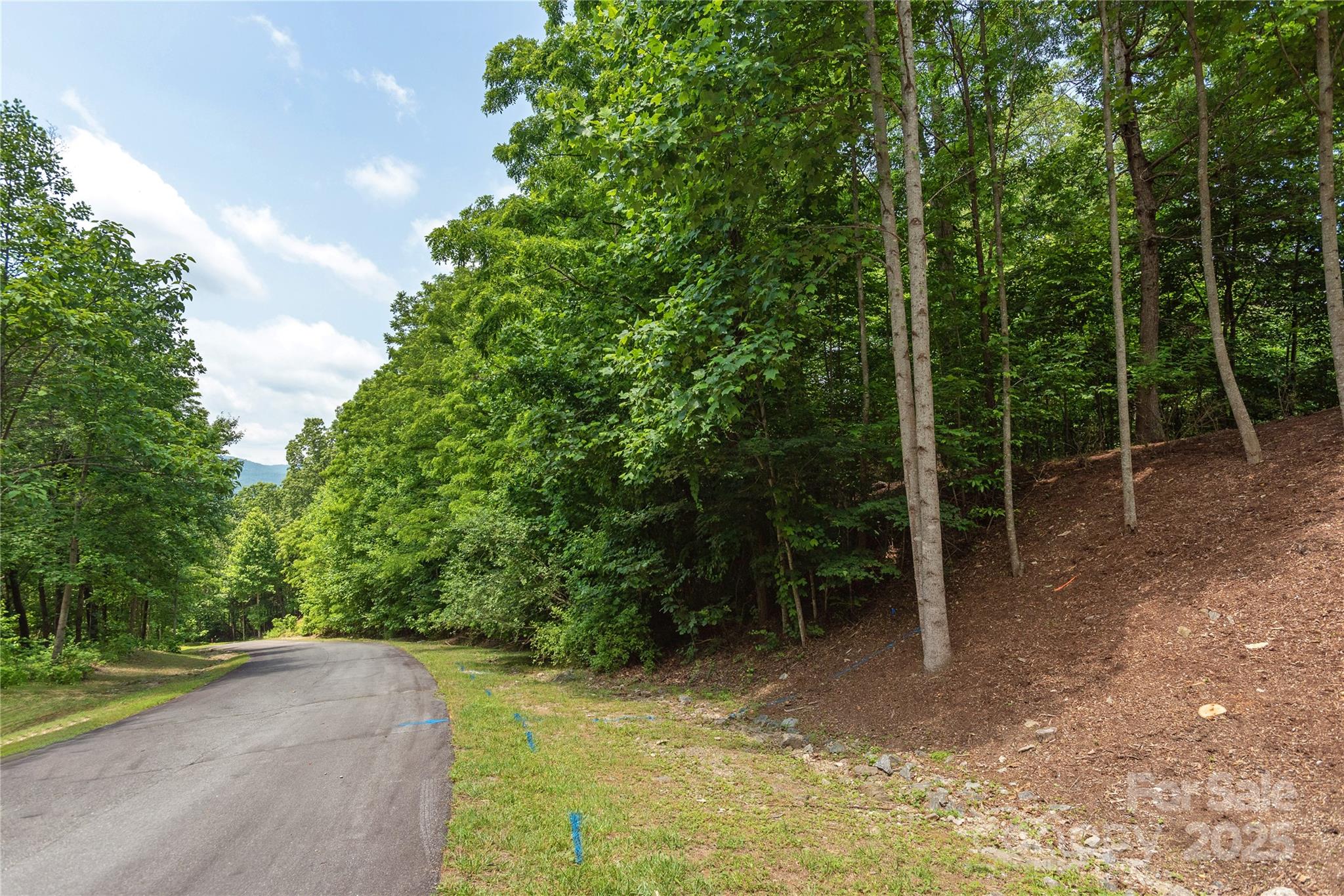 100 Ivywood Lane Laurel Park NC 28739
