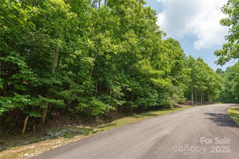 100 Ivywood Lane Laurel Park NC 28739