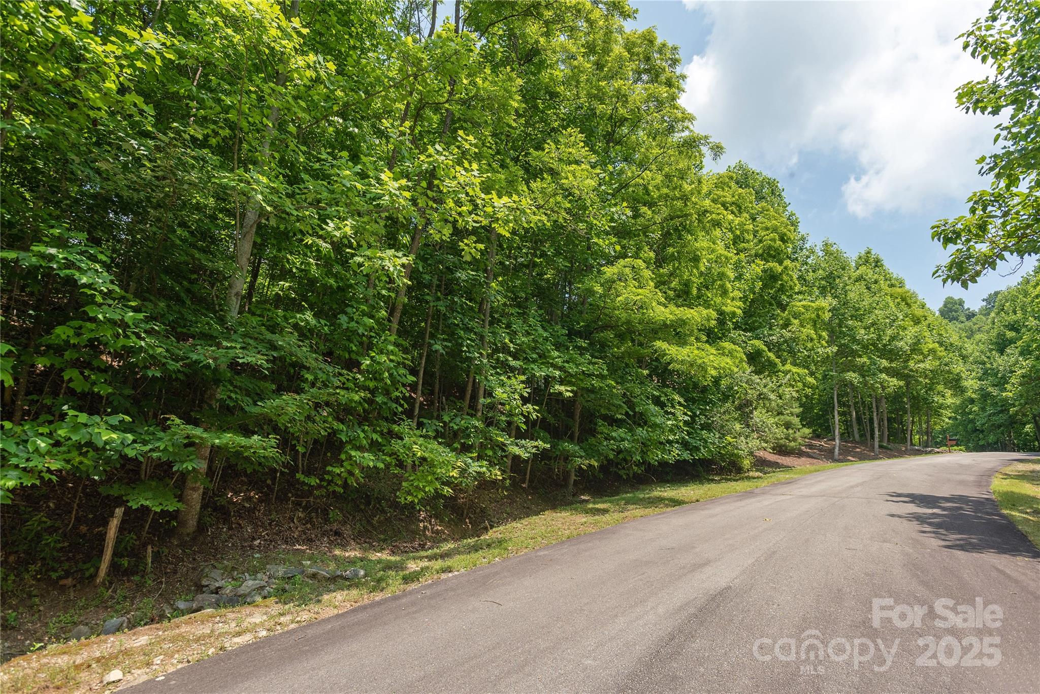 100 Ivywood Lane Laurel Park NC 28739