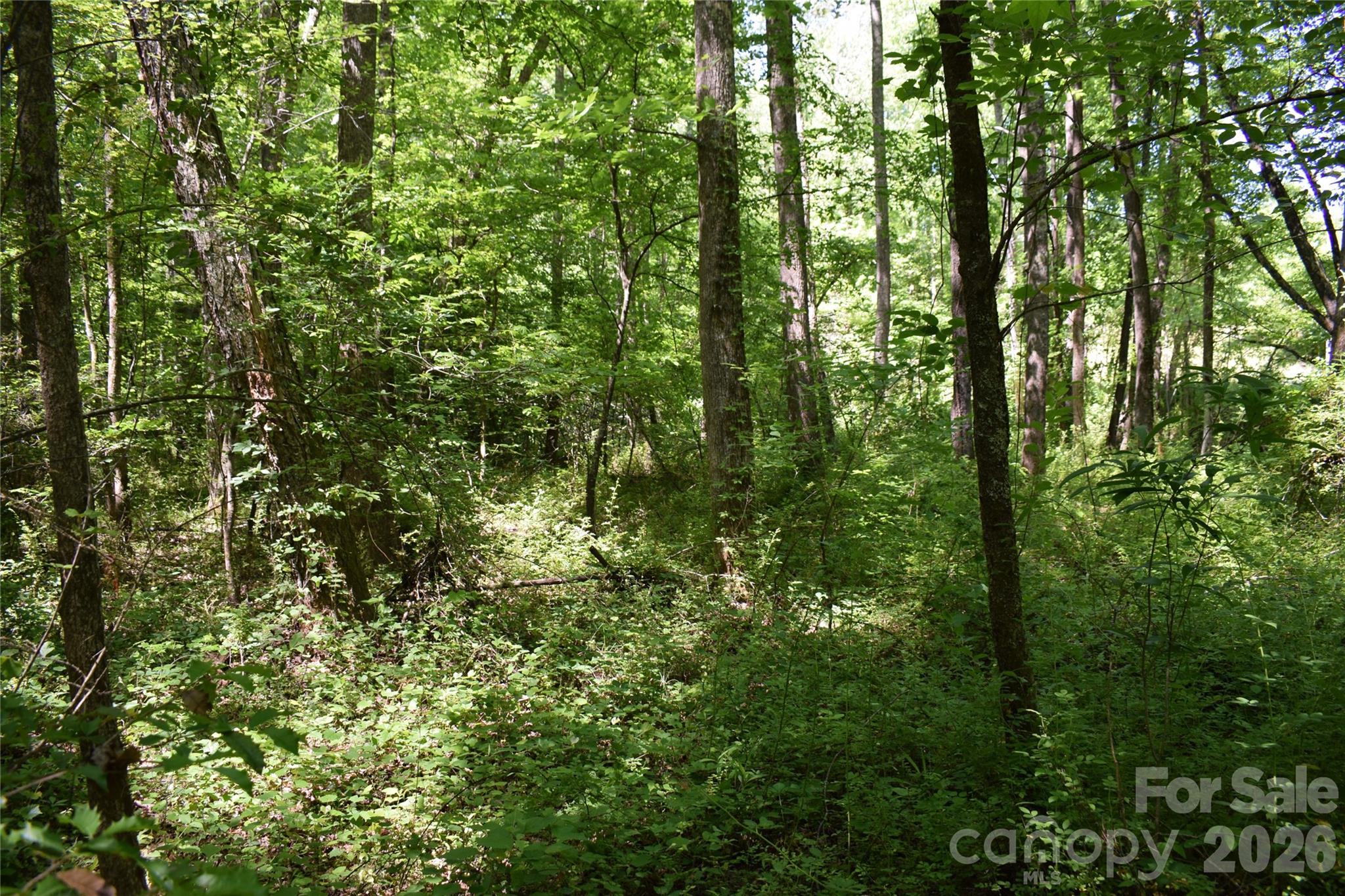 0 Floyd Blackwell Road Tryon NC 28722