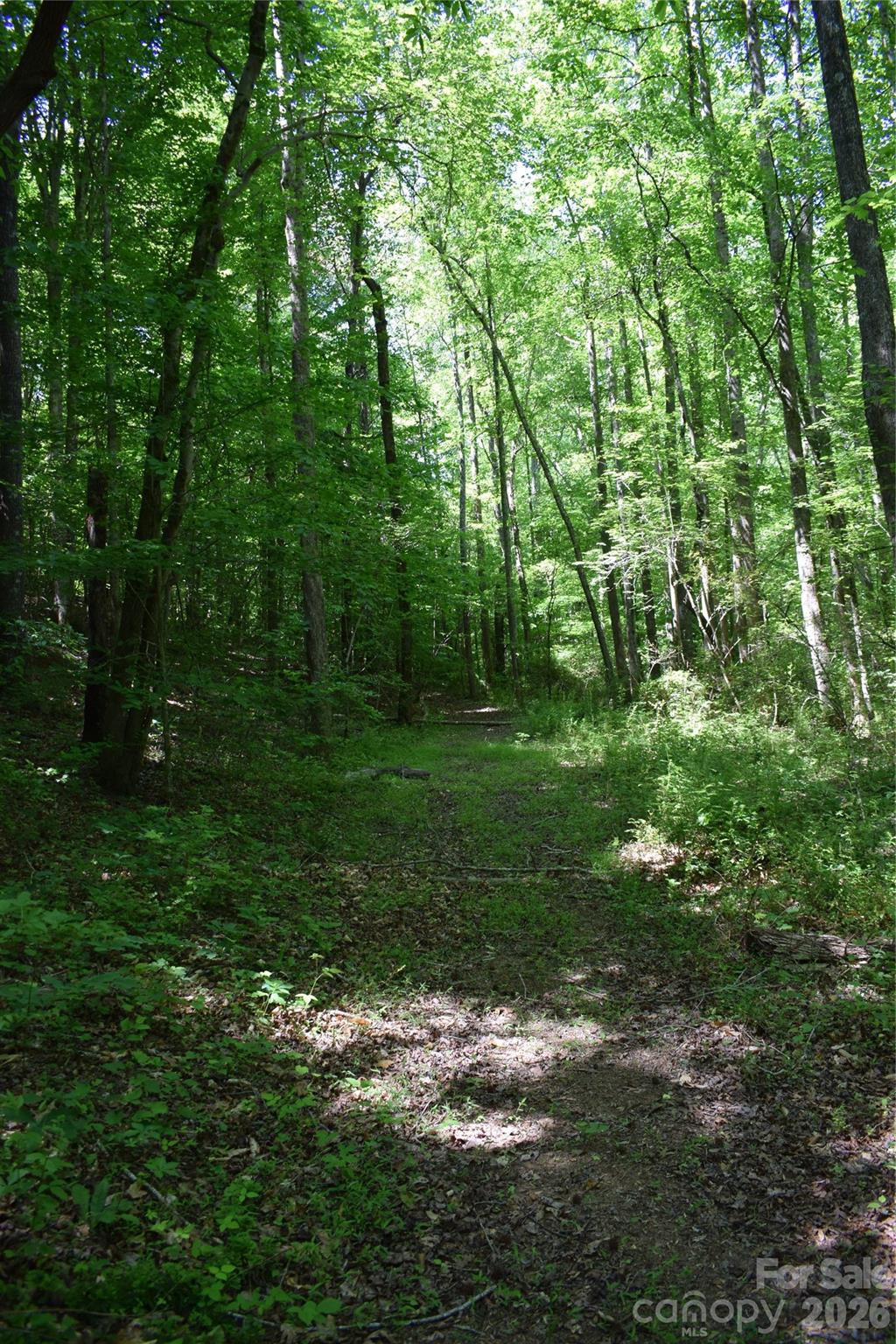 0 Floyd Blackwell Road Tryon NC 28722