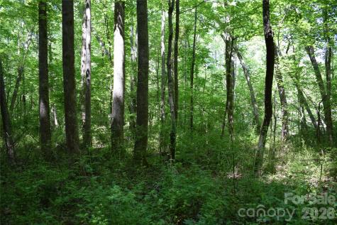 0 Floyd Blackwell Road Tryon NC 28722