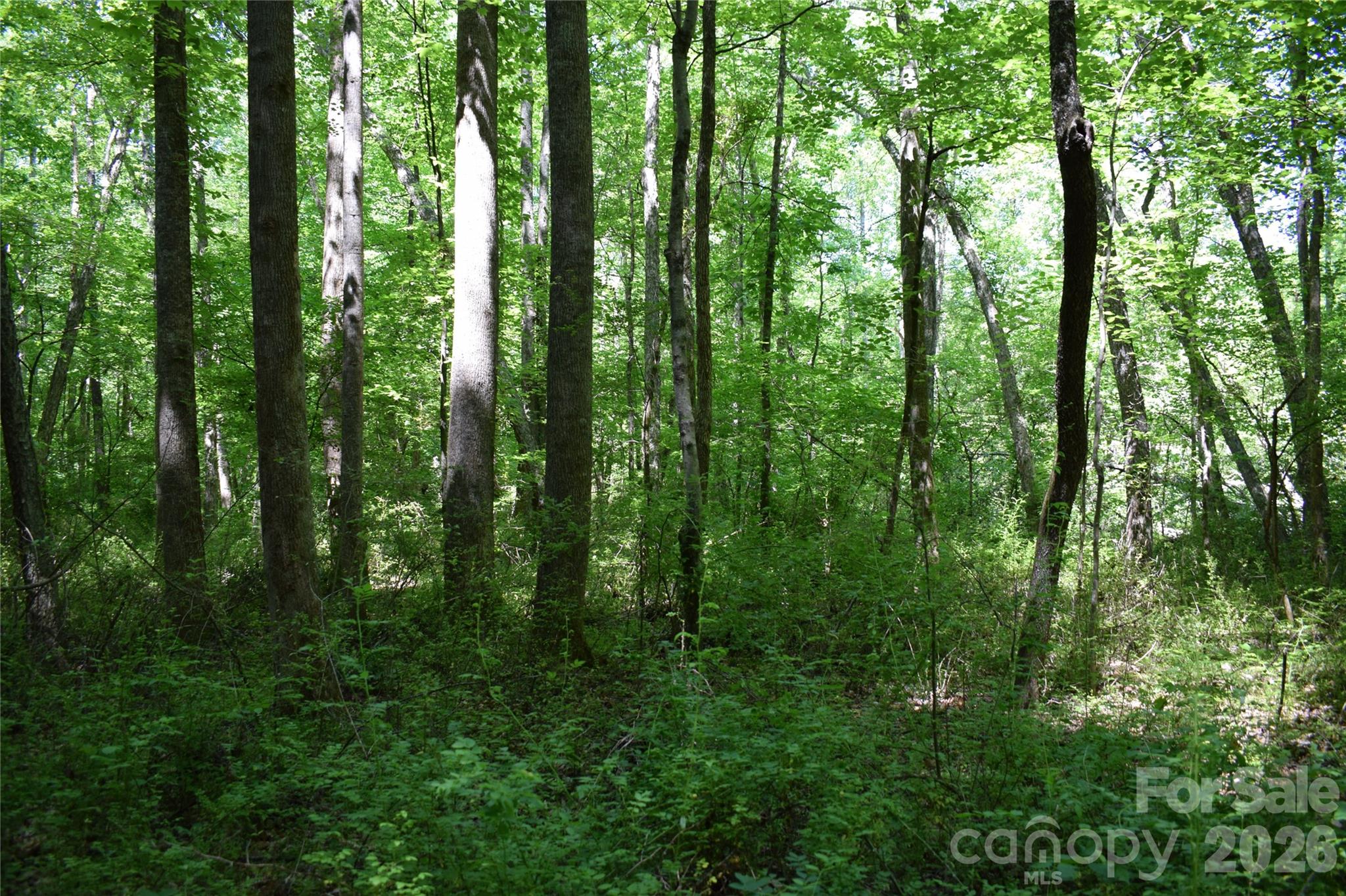 0 Floyd Blackwell Road Tryon NC 28722
