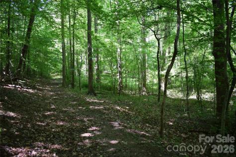 0 Floyd Blackwell Road Tryon NC 28722