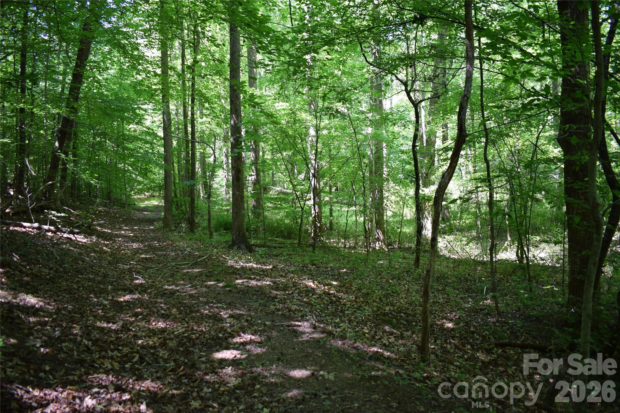 0 Floyd Blackwell Road Tryon NC 28722