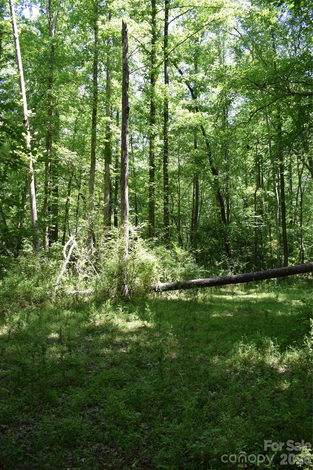 0 Floyd Blackwell Road Tryon NC 28722