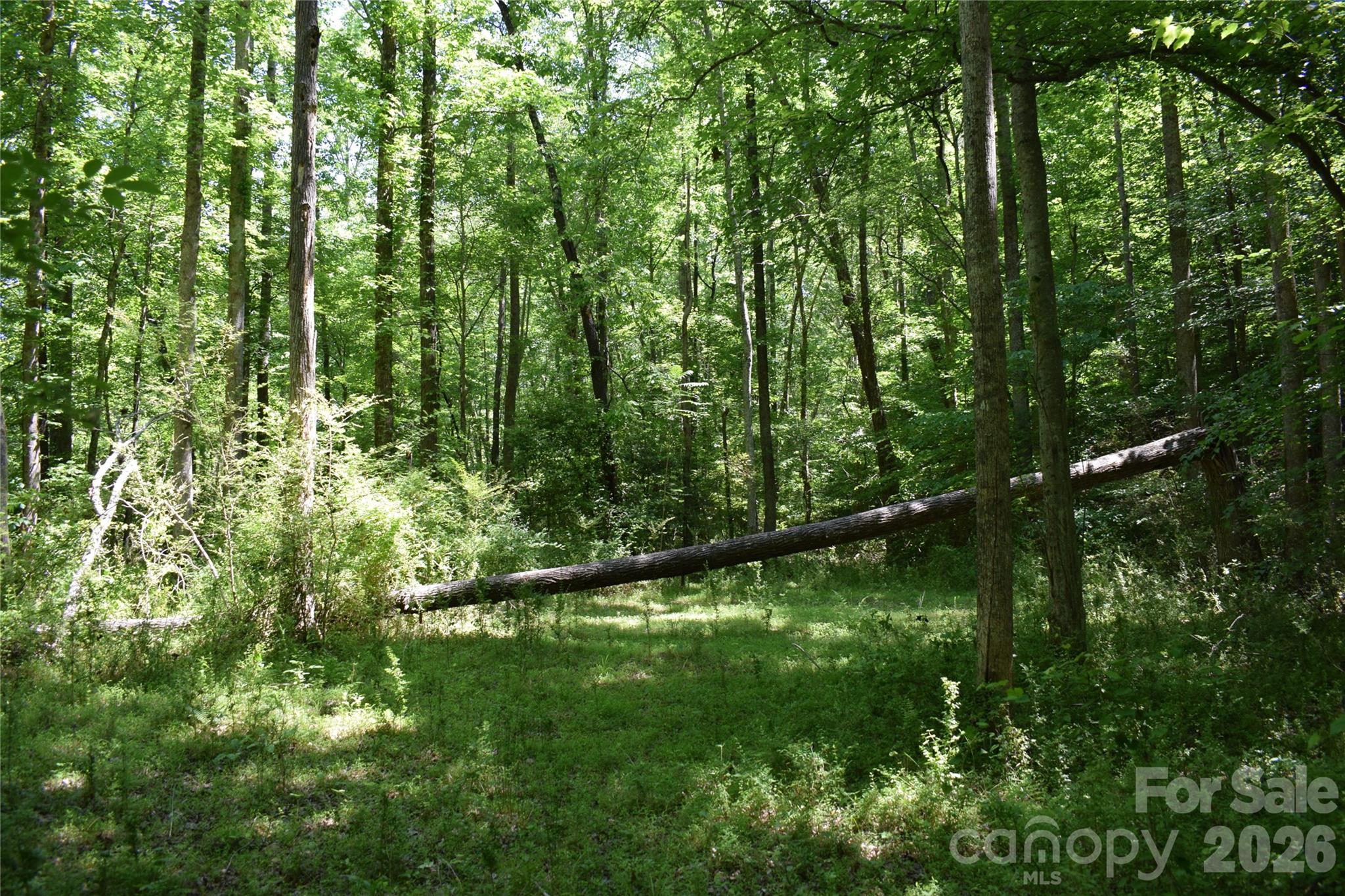0 Floyd Blackwell Road Tryon NC 28722