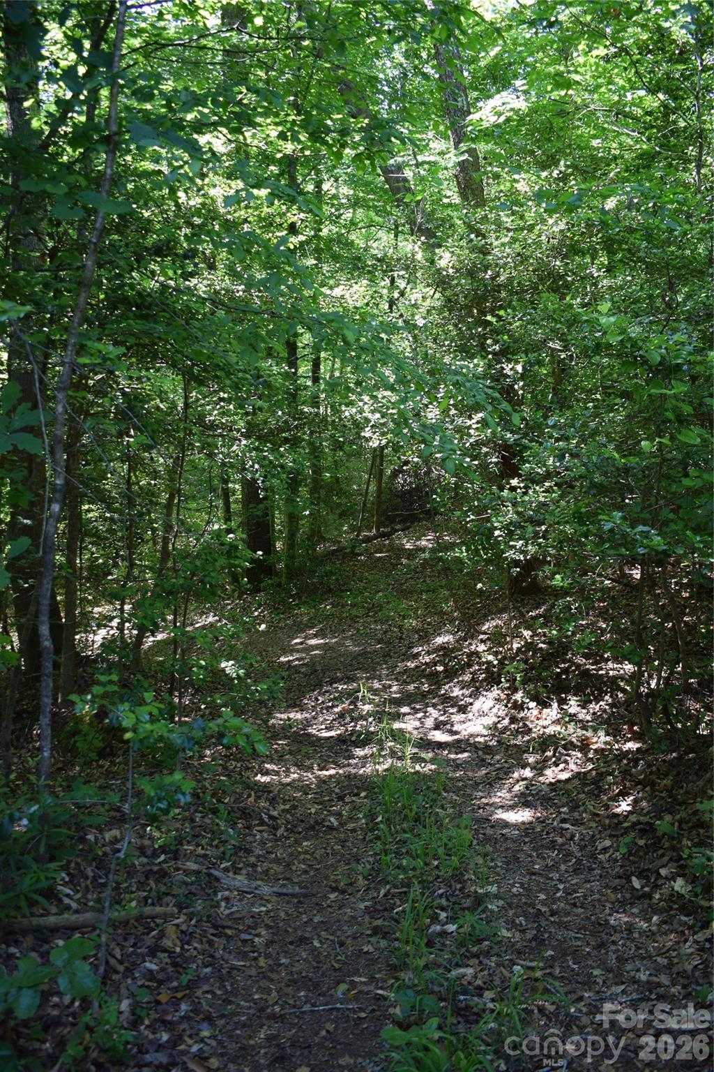 0 Floyd Blackwell Road Tryon NC 28722
