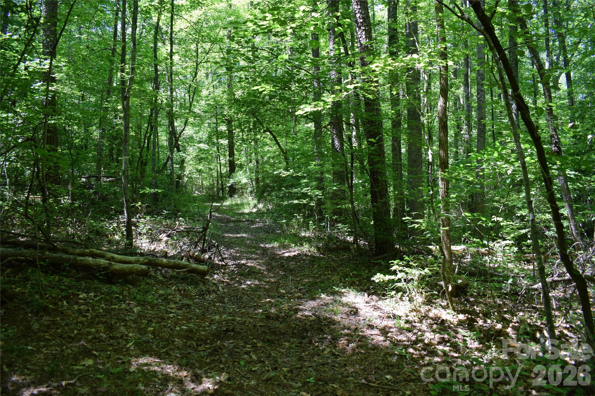 0 Floyd Blackwell Road Tryon NC 28722